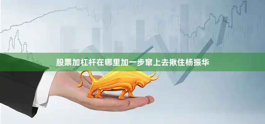 股票加杠杆在哪里加一步窜上去揪住杨振华