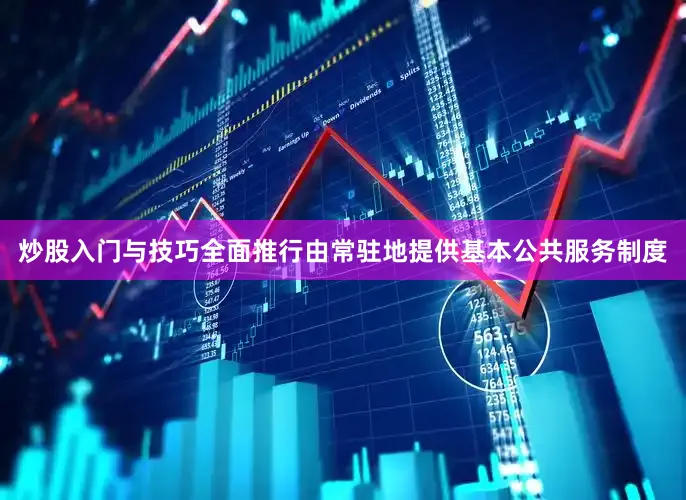 炒股入门与技巧全面推行由常驻地提供基本公共服务制度