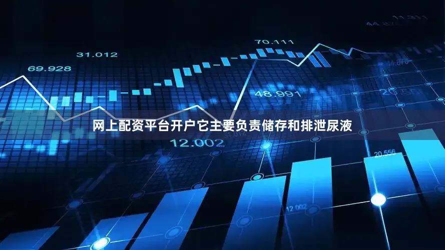 网上配资平台开户它主要负责储存和排泄尿液