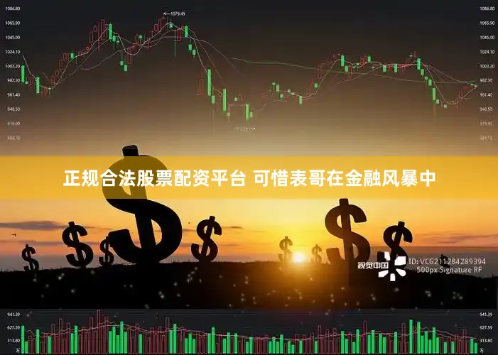 正规合法股票配资平台 可惜表哥在金融风暴中