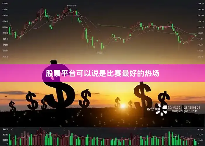 股票平台可以说是比赛最好的热场